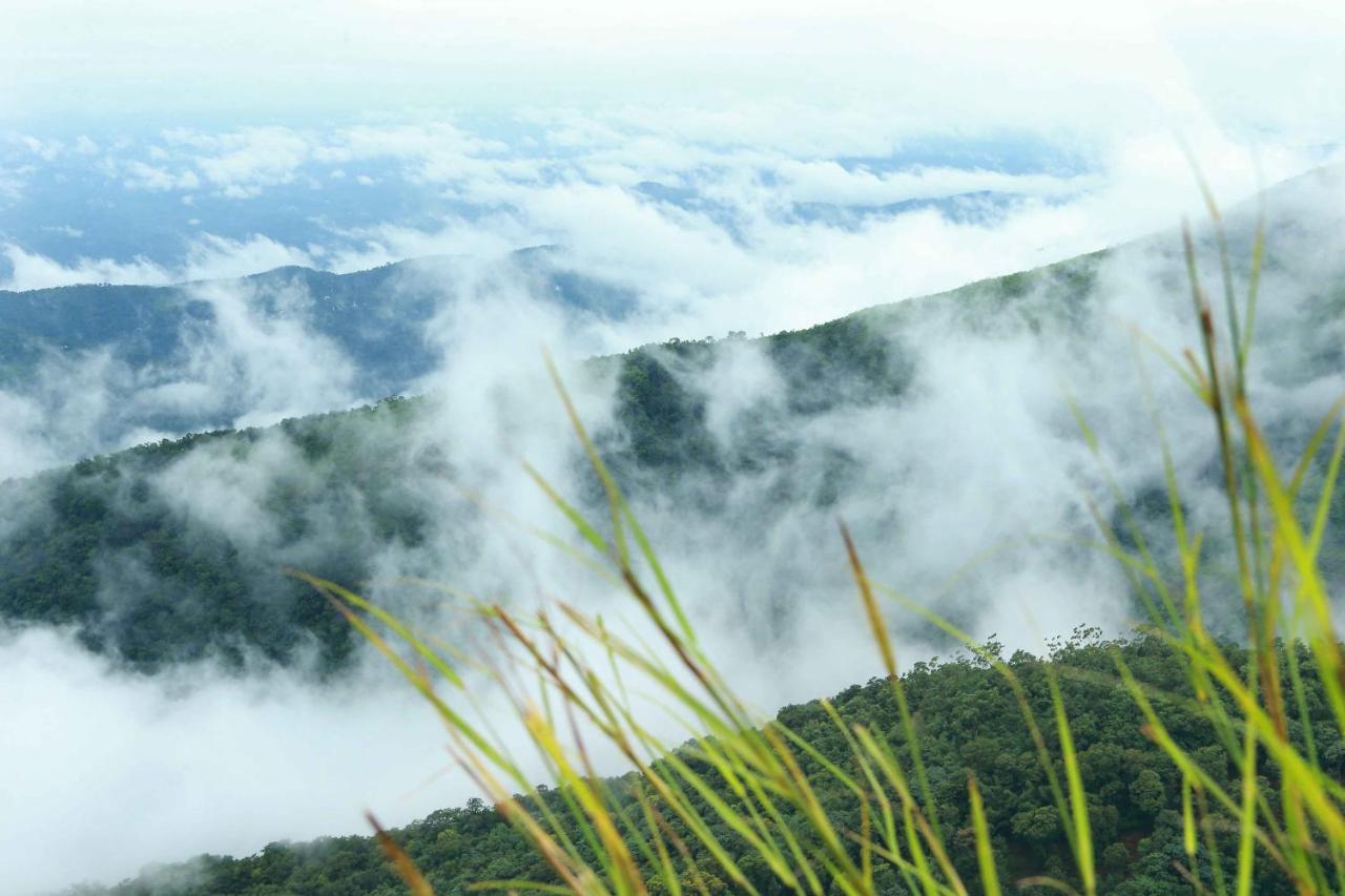 Misty Mountain Experience By Perfect Stays Pīrmed Exterior foto